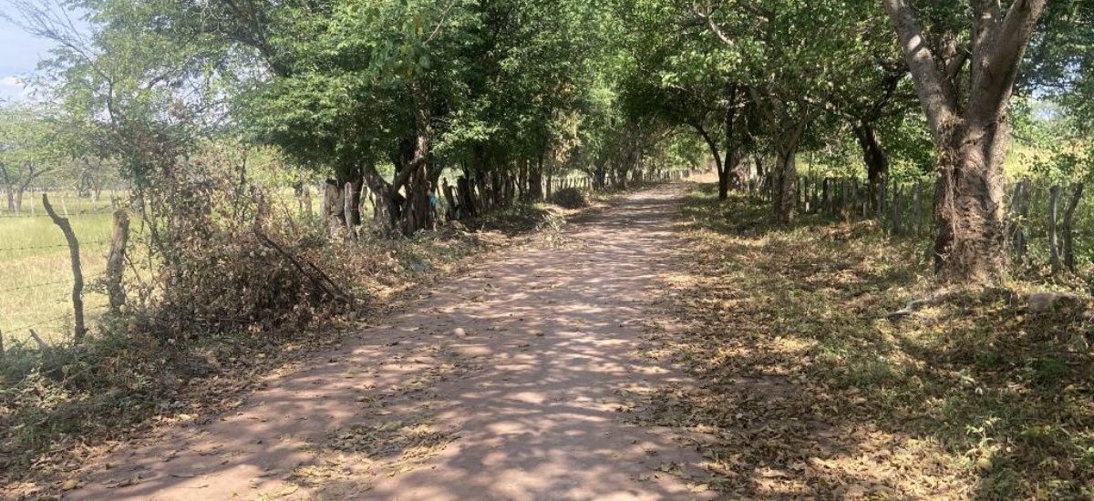 Fotografía Convenios de Caminos Comunitarios.